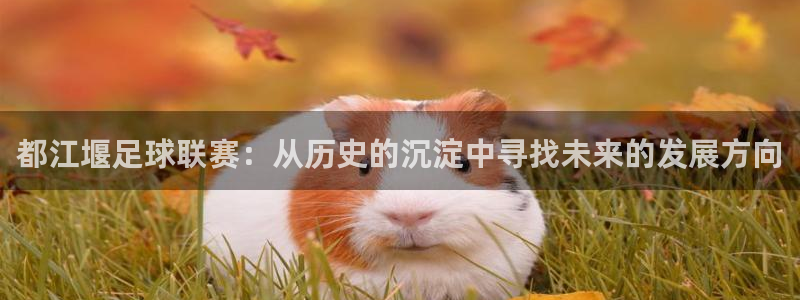 都江堰足球联赛：从历史的沉淀中寻找未来的发展方向