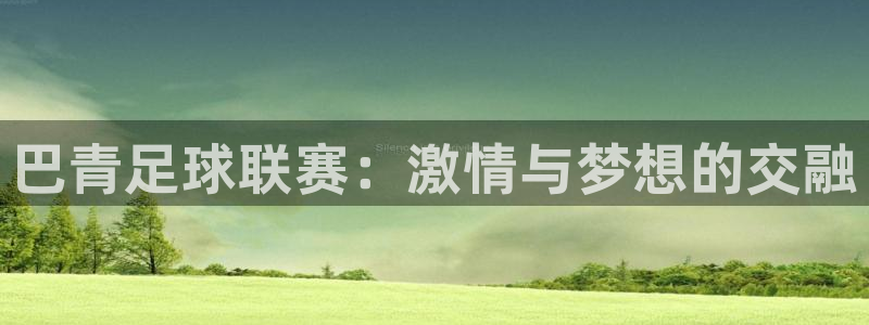 巴青足球联赛：激情与梦想的交融