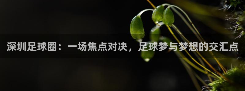  深圳足球圈：一场焦点对决，足球梦与梦想的交汇点