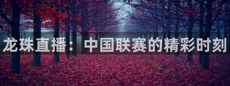 龙珠直播：中国联赛的精彩时刻