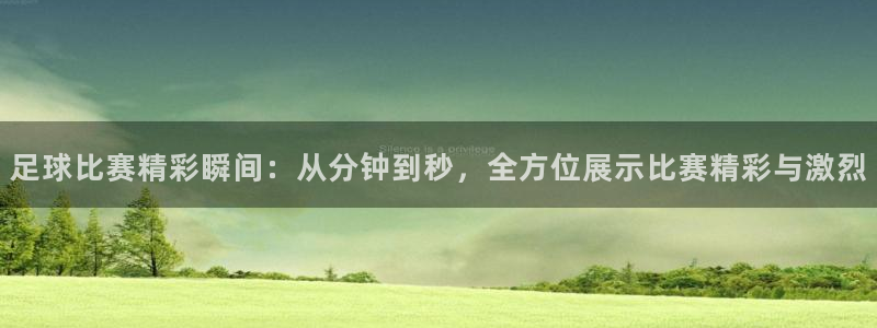  足球比赛精彩瞬间：从分钟到秒，全方位展示比赛精彩与激烈