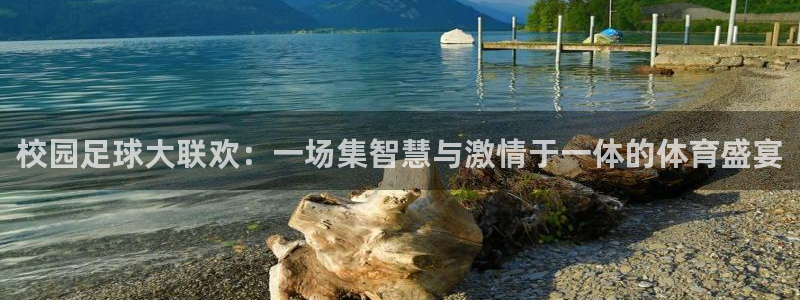  校园足球大联欢：一场集智慧与激情于一体的体育盛宴