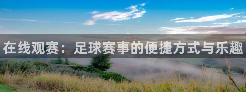 在线观赛：足球赛事的便捷方式与乐趣