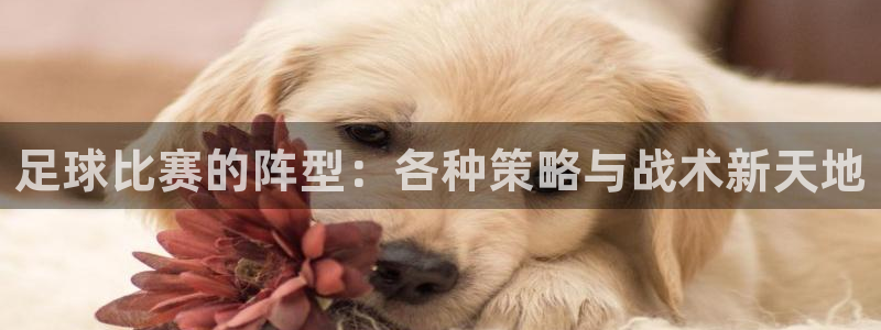 足球比赛的阵型：各种策略与战术新天地