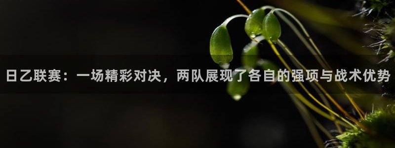  日乙联赛：一场精彩对决，两队展现了各自的强项与战术优势