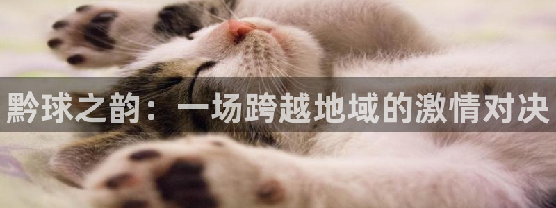 黔球之韵：一场跨越地域的激情对决