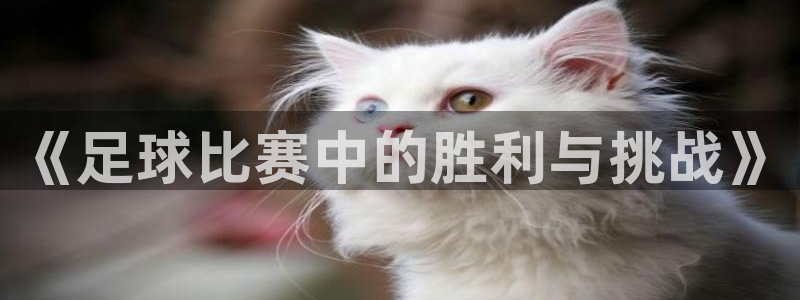  《足球比赛中的胜利与挑战》