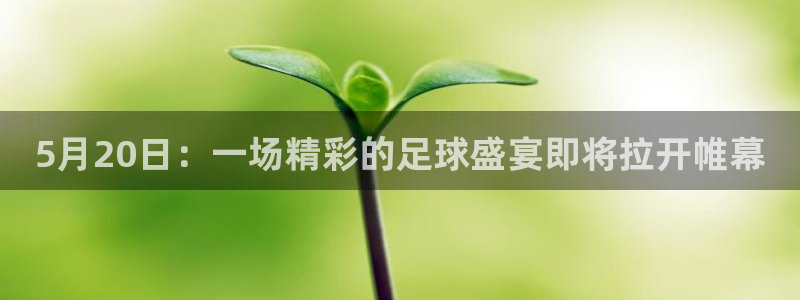  5月20日：一场精彩的足球盛宴即将拉开帷幕