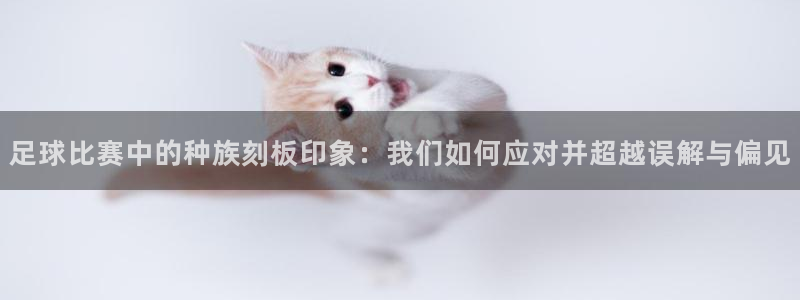 足球比赛中的种族刻板印象：我们如何应对并超越误解与偏见