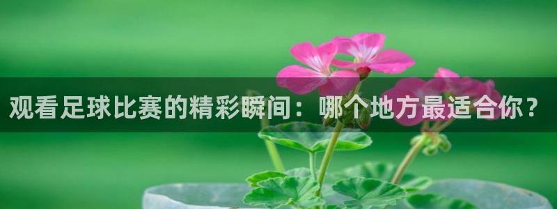  观看足球比赛的精彩瞬间：哪个地方最适合你？