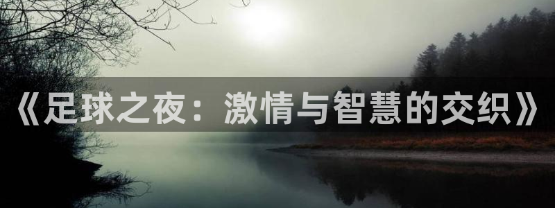  《足球之夜：激情与智慧的交织》