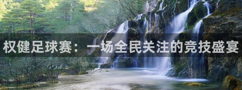 权健足球赛：一场全民关注的竞技盛宴