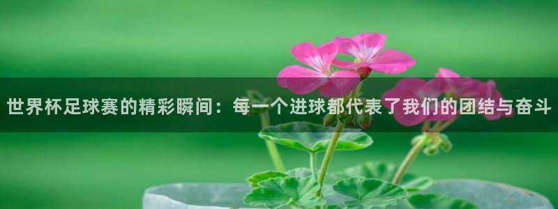 世界杯足球赛的精彩瞬间：每一个进球都代表了我们的团结与奋斗