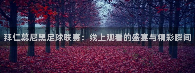 足球直播球神：拜仁慕尼黑足球联赛：线上观看的盛宴与精彩瞬间