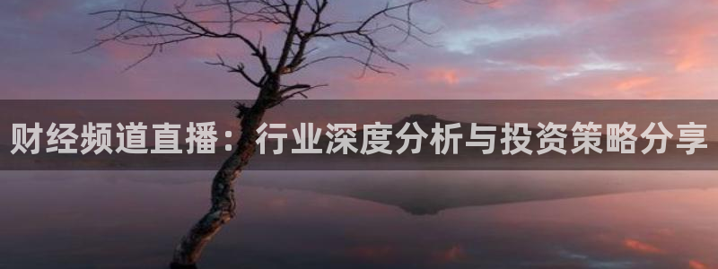 球神直播体育在线观看足球：财经频道直播：行业深度分析与投资策略分享