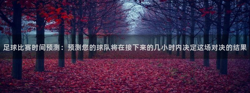 足球比赛时间预测：预测您的球队将在接