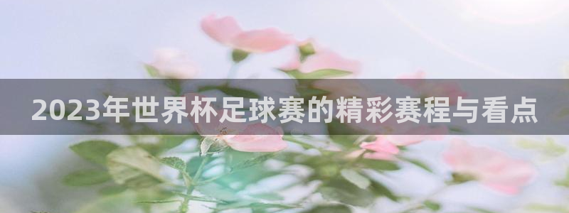 2023年世界杯足球赛的精彩赛程与看