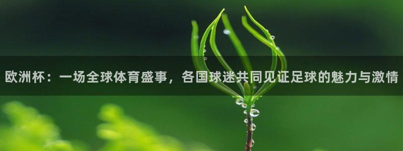欧洲杯：一场全球体育盛事，各国球迷共