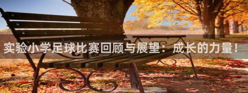 实验小学足球比赛回顾与展望：成长的力