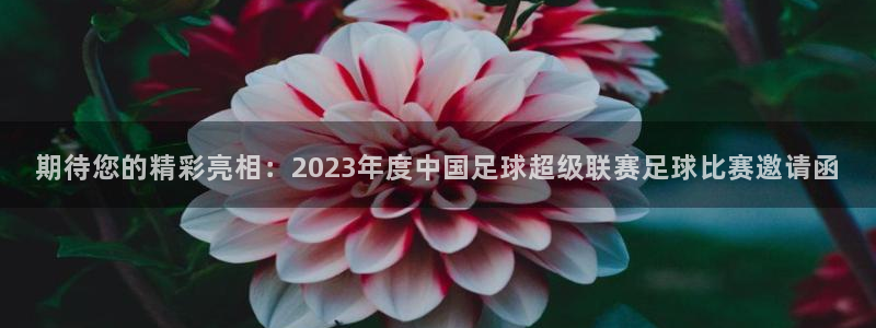 期待您的精彩亮相：2023年度中国足