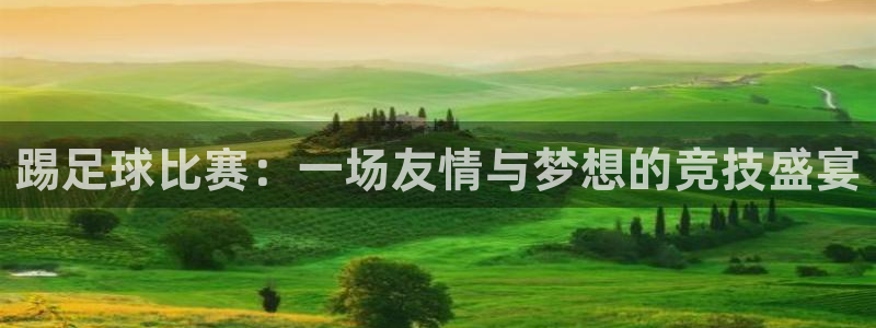 踢足球比赛：一场友情与梦想的竞技盛宴