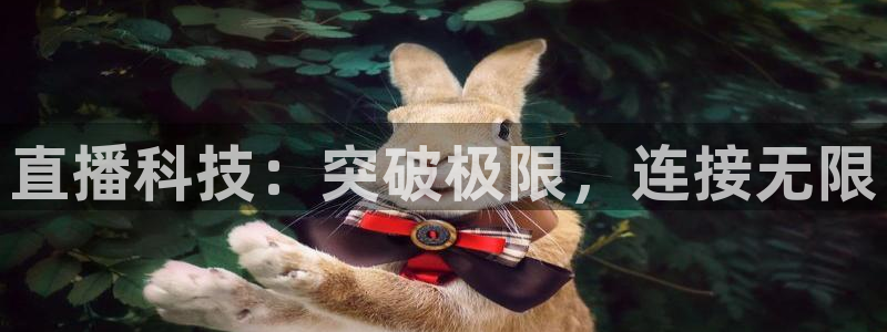 球神直播网免费直播在线观看：直播科技：突破极限，连接无限
