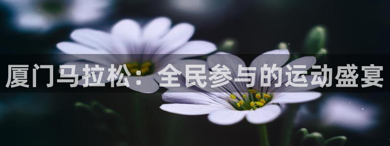球神足球直播在线观看：厦门马拉松：全民参与的运动盛宴