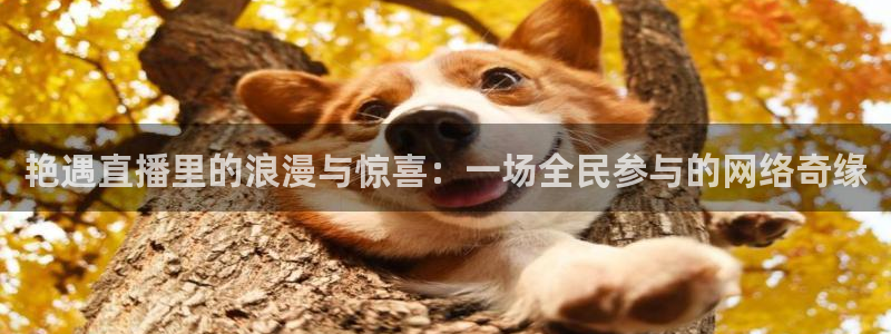 球神足球直播：艳遇直播里的浪漫与惊喜：一场全民参与的网络奇缘