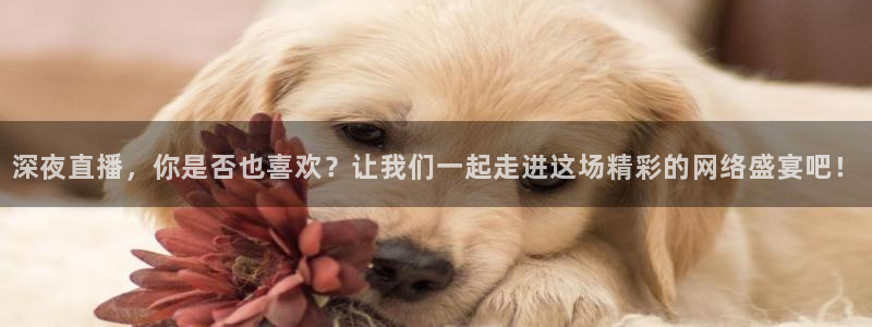 球神直播：深夜直播，你是否也喜欢？让我们一起走进这场精彩的网络盛宴吧！