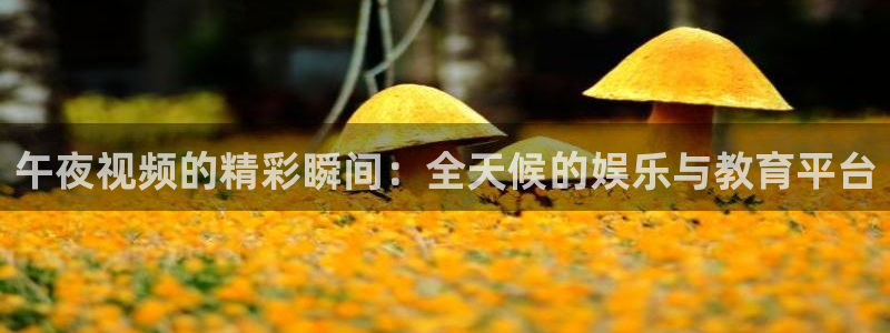 球神直播免费直播：午夜视频的精彩瞬间：全天候的娱乐与教育平台