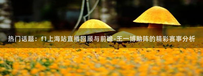 球神直播体育免费直播：热门话题：f1上海站直播回顾与前瞻-王一博助阵的精彩赛事分析
