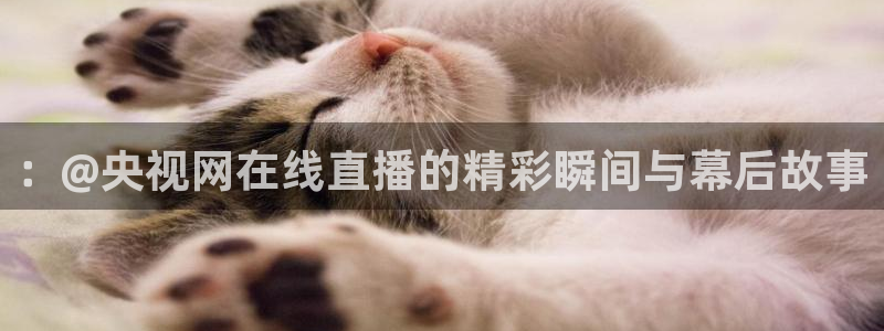 球神体育直播：：@央视网在线直播的精彩瞬间与幕后故事