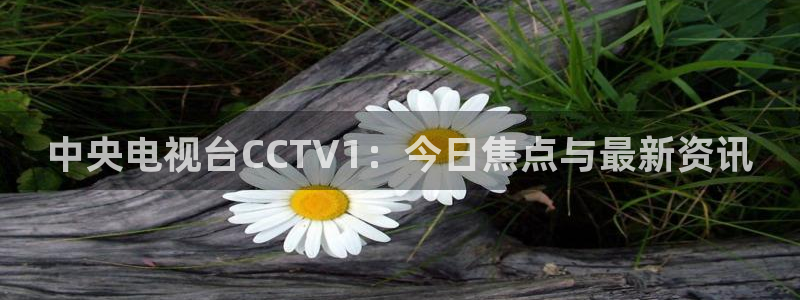球神体育直播：中央电视台CCTV1：今日焦点与最新资讯