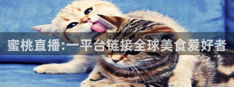 球神直播nba在线直播免费观看：蜜桃直播:一平台链接全球美食爱好者